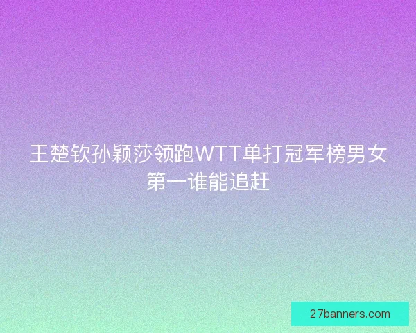 王楚钦孙颖莎领跑WTT单打冠军榜男女第一谁能追赶