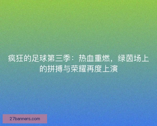 疯狂的足球第三季：热血重燃，绿茵场上的拼搏与荣耀再度上演